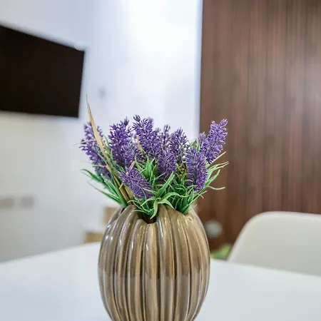 Charming + Modern 1br House In Historic By 360 Estates 4* Żebbuġ